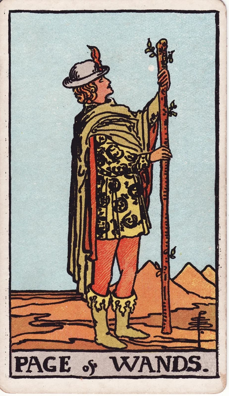 Carta Pajem de Paus